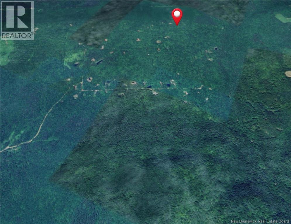 Bones Lane, Springfield, New Brunswick  E5T 2L2 - Photo 1 - NB137261