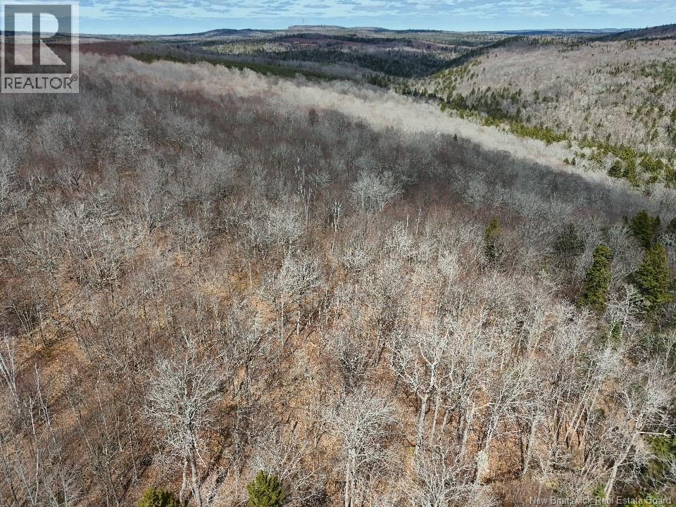 Bones Lane, Springfield, New Brunswick  E5T 2L2 - Photo 12 - NB137261