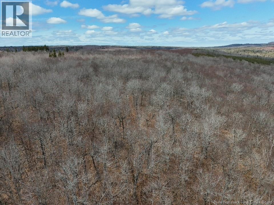 Bones Lane, Springfield, New Brunswick  E5T 2L2 - Photo 13 - NB137261