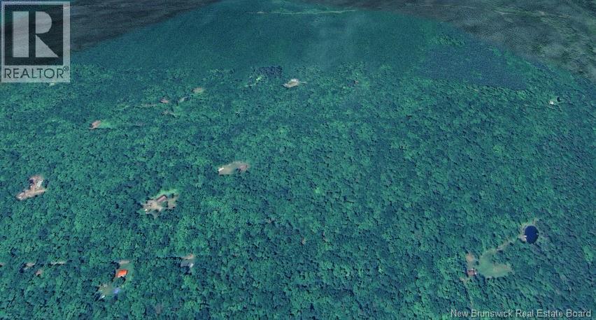 Bones Lane, Springfield, New Brunswick  E5T 2L2 - Photo 4 - NB137261