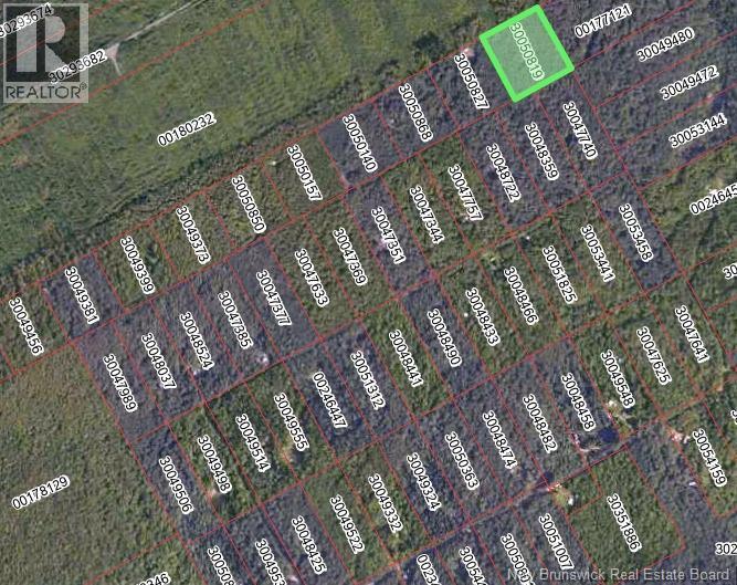 Bones Lane, Springfield, New Brunswick  E5T 2L2 - Photo 5 - NB137261