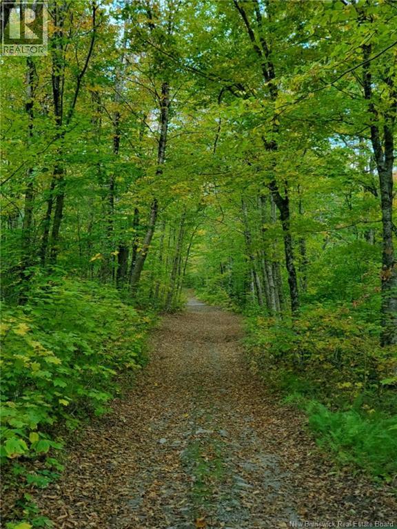 Bones Lane, Springfield, New Brunswick  E5T 2L2 - Photo 8 - NB137261