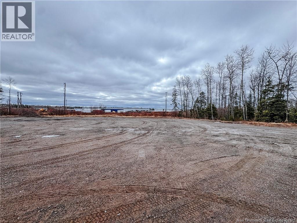 8 Galloway Street, Moncton, New Brunswick  E1H 2J4 - Photo 34 - NB137348