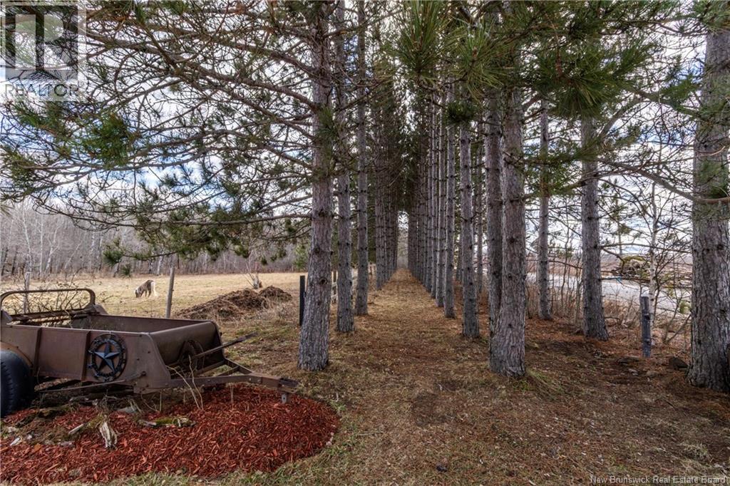 1250 Salmon Creek Road, Codys, New Brunswick  E4C 1E8 - Photo 46 - NB136353