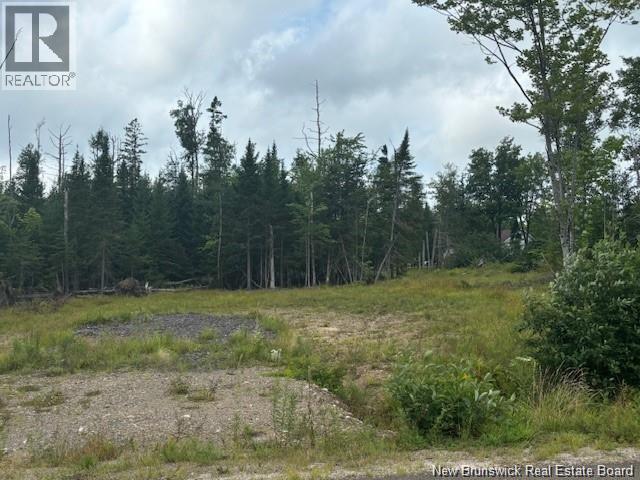 12-02 Robby Street, Douglas, New Brunswick