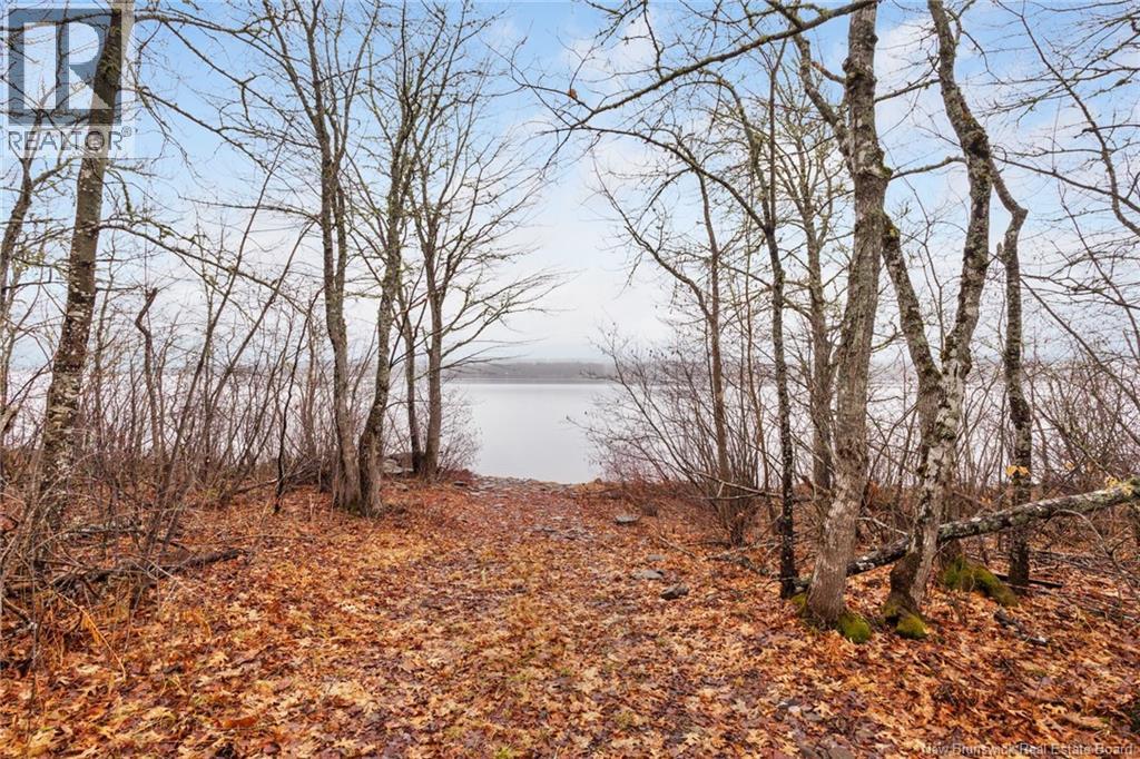 1783 Lakeview Road, Cambridge-Narrows, New Brunswick  E4C 2B4 - Photo 15 - NB137398