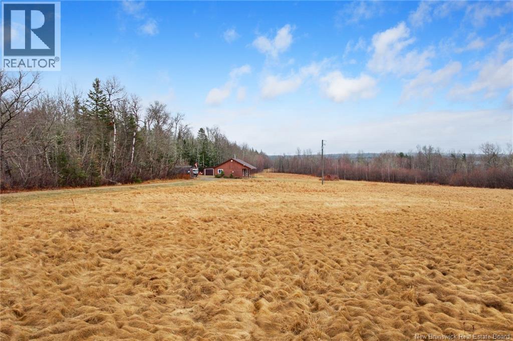 1783 Lakeview Road, Cambridge-Narrows, New Brunswick  E4C 2B4 - Photo 43 - NB137398