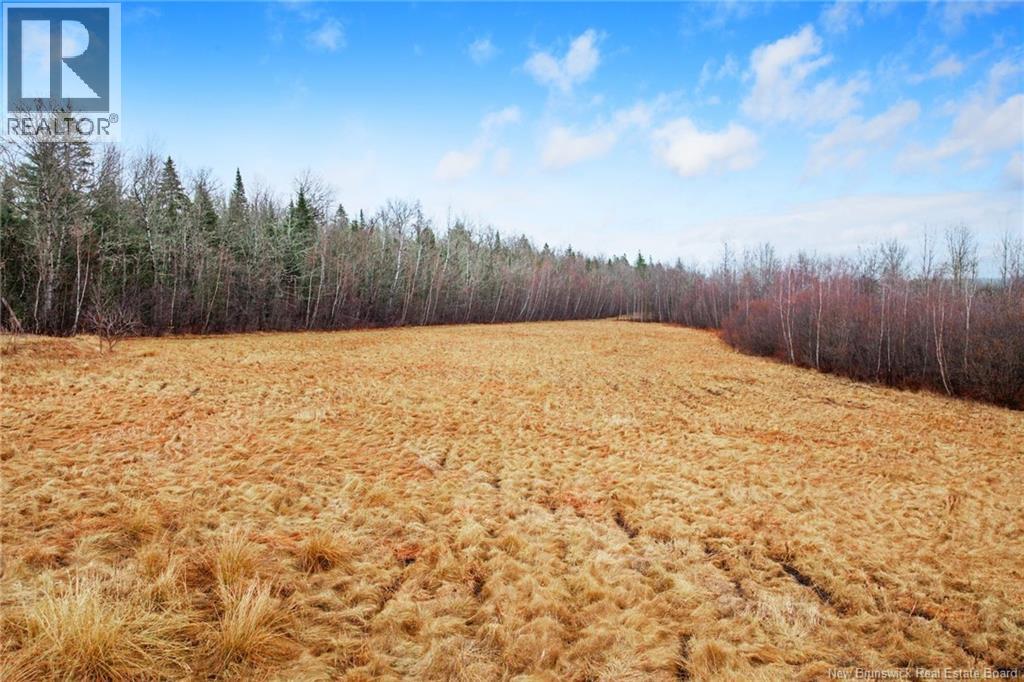 1783 Lakeview Road, Cambridge-Narrows, New Brunswick  E4C 2B4 - Photo 44 - NB137398