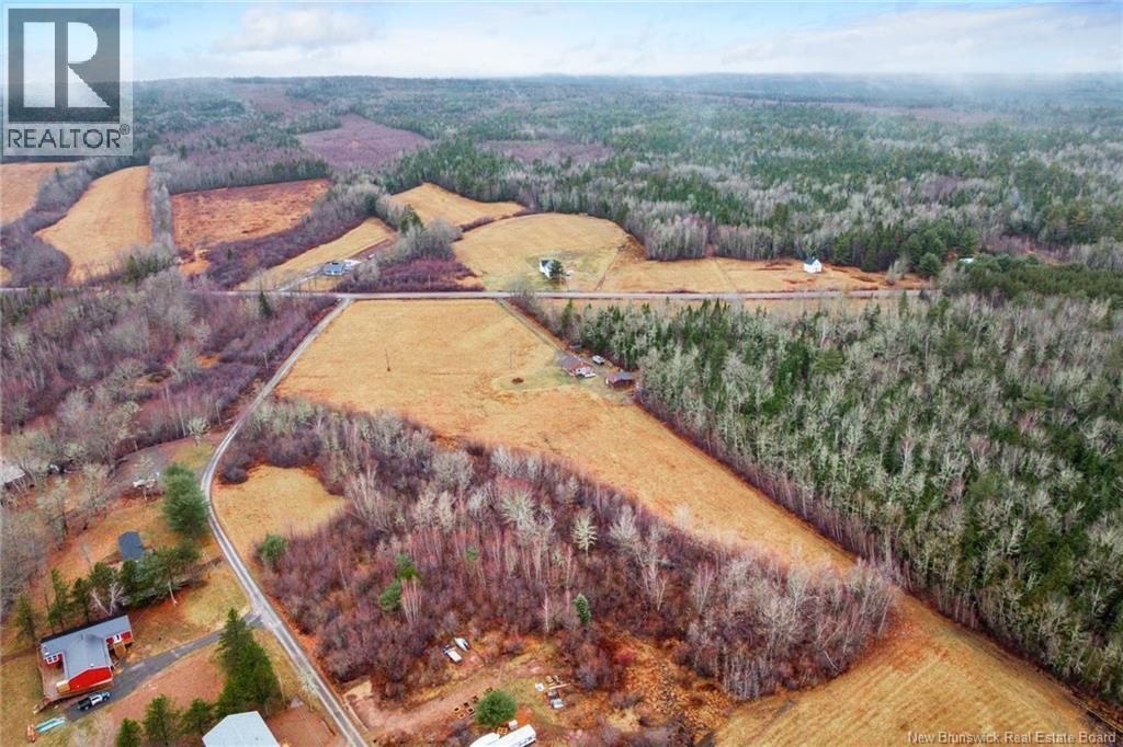 1783 Lakeview Road, Cambridge-Narrows, New Brunswick  E4C 2B4 - Photo 50 - NB137398