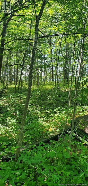 Lot Cox Point Road, Cumberland Bay, New Brunswick  E4A 2Y5 - Photo 15 - NB137390