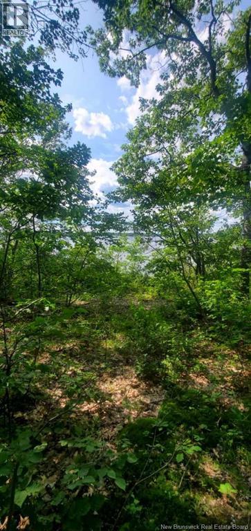 Lot Cox Point Road, Cumberland Bay, New Brunswick  E4A 2Y5 - Photo 20 - NB137390