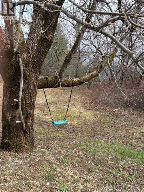 19 Pine Street, St. Stephen, New Brunswick  E3L 1X3 - Photo 6 - NB137449