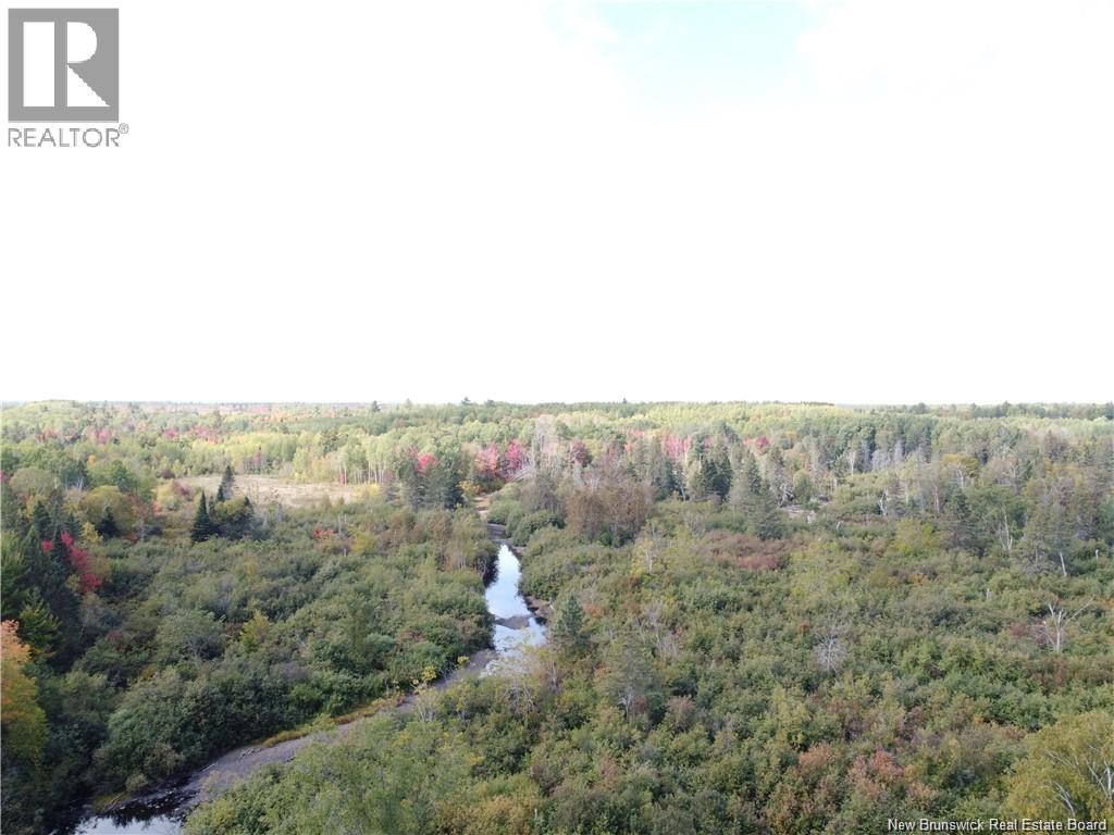 769 Mcintyre Lane, Bathurst, New Brunswick  E2A 6L9 - Photo 5 - NB137503