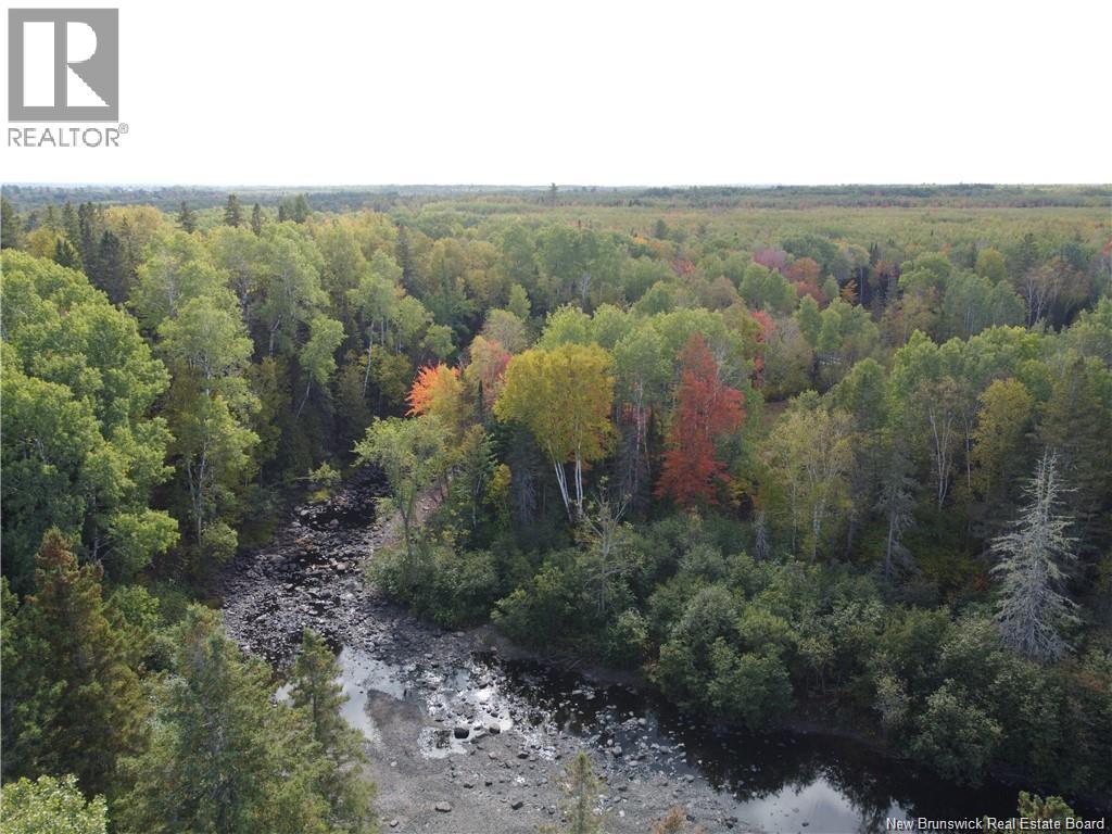 769 Mcintyre Lane, Bathurst, New Brunswick  E2A 6L9 - Photo 6 - NB137503