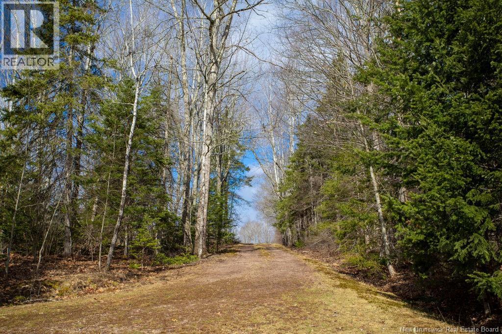 25 Oak Lane, Coles Island, New Brunswick  E2C 2M4 - Photo 40 - NB137158