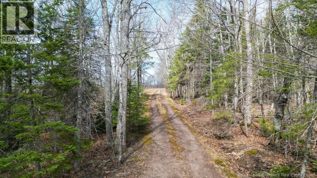 25 Oak Lane, Coles Island, New Brunswick  E2C 2M4 - Photo 48 - NB137158