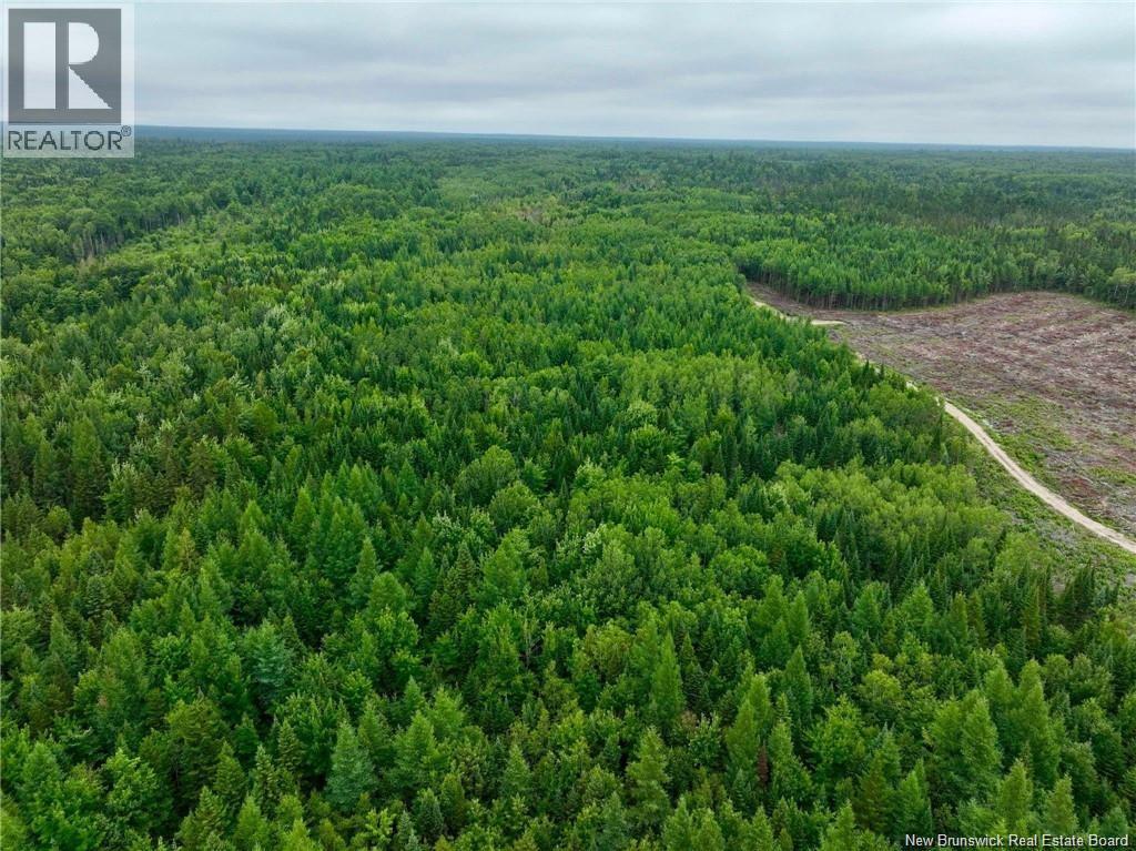 51.4 Hec Route 108, Renous, New Brunswick  E9E 2N2 - Photo 2 - NB137498