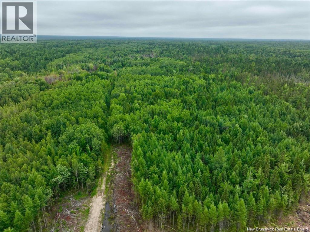 51.4 Hec Route 108, Renous, New Brunswick  E9E 2N2 - Photo 3 - NB137498