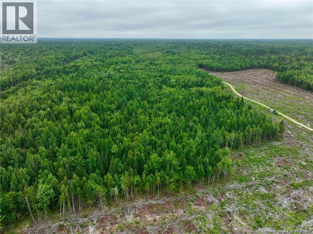 51.4 Hec Route 108, Renous, New Brunswick  E9E 2N2 - Photo 4 - NB137498