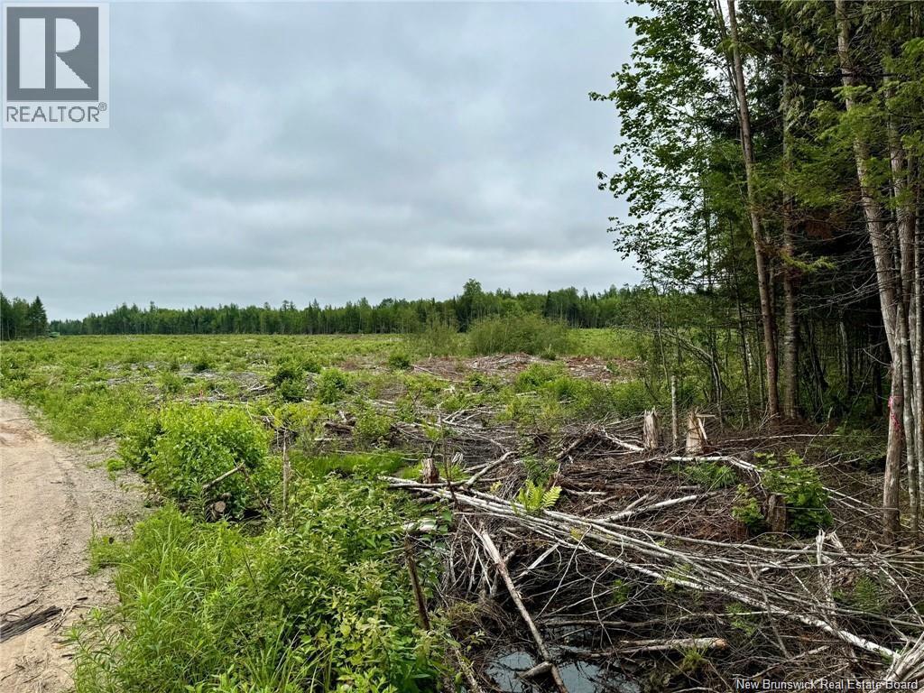 51.4 Hec Route 108, Renous, New Brunswick  E9E 2N2 - Photo 5 - NB137498