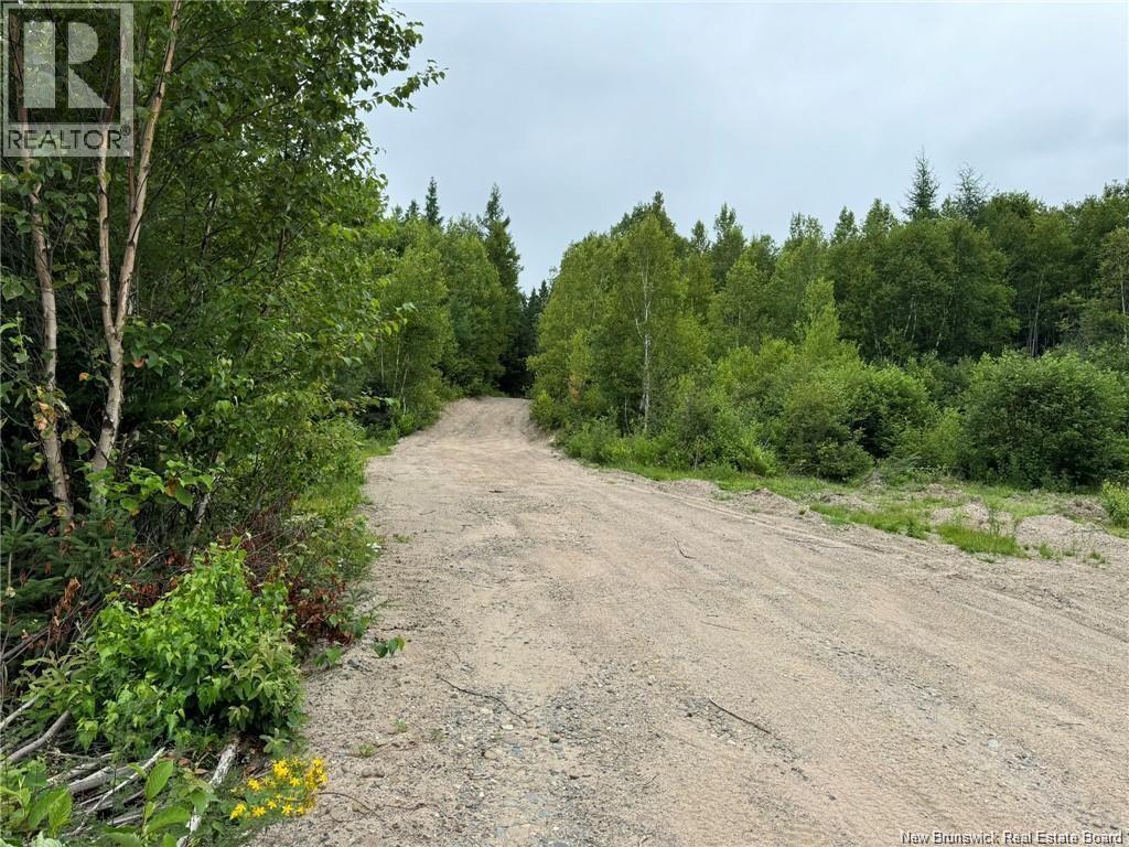 51.4 Hec Route 108, Renous, New Brunswick  E9E 2N2 - Photo 6 - NB137498