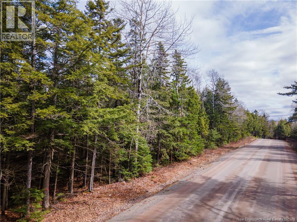 Lot 25-4 Buckley Settlement Road, Anagance, New Brunswick  E4Z 1B9 - Photo 5 - NB137582