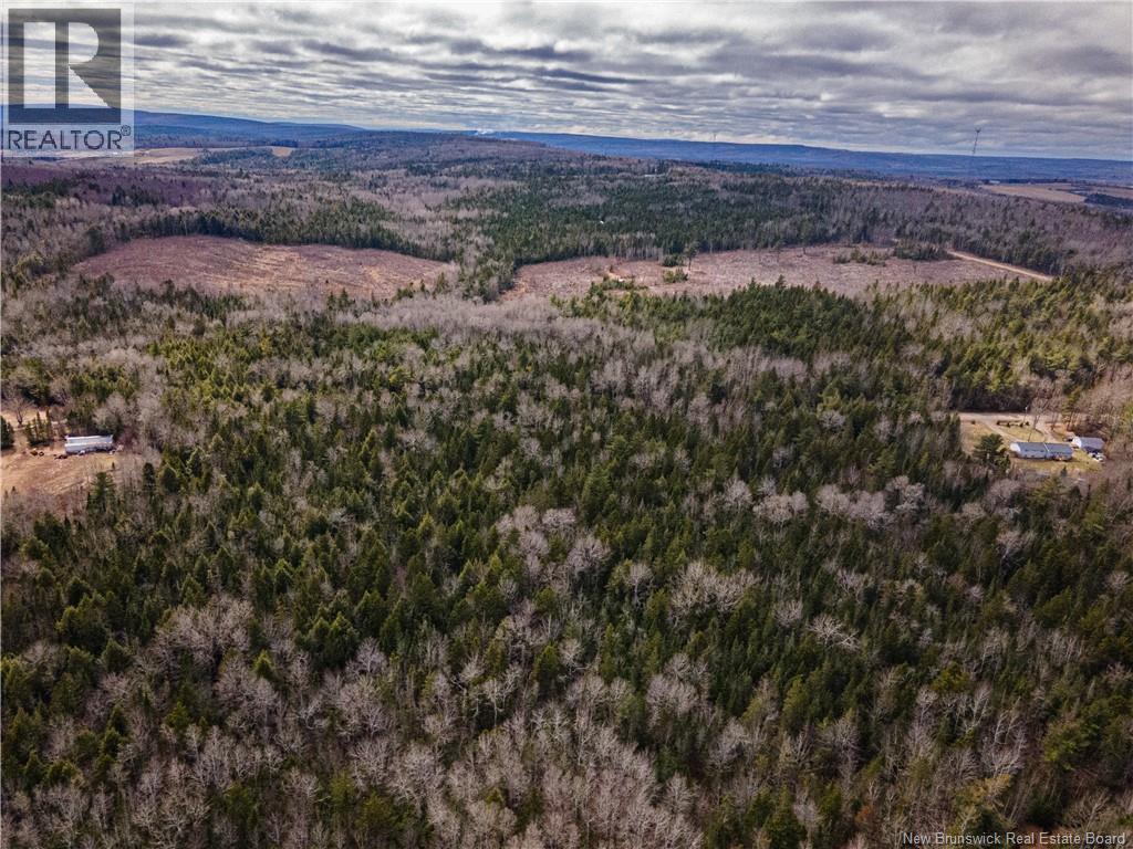 Lot 25-4 Buckley Settlement Road, Anagance, New Brunswick  E4Z 1B9 - Photo 6 - NB137582