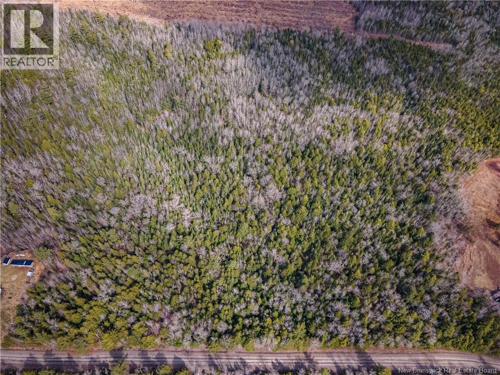 Lot 25-4 Buckley Settlement Road, Anagance, New Brunswick  E4Z 1B9 - Photo 9 - NB137582