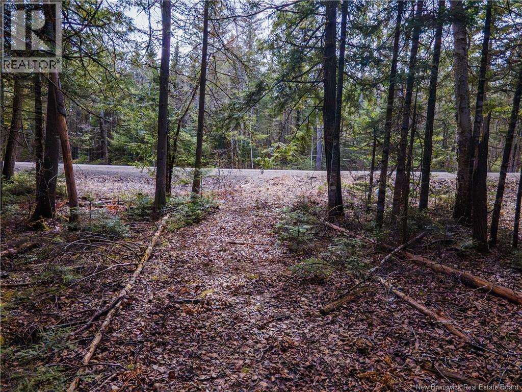 Lot 25-3 Buckley Settlement Road, Anagance, New Brunswick  E4Z 1B9 - Photo 11 - NB137581