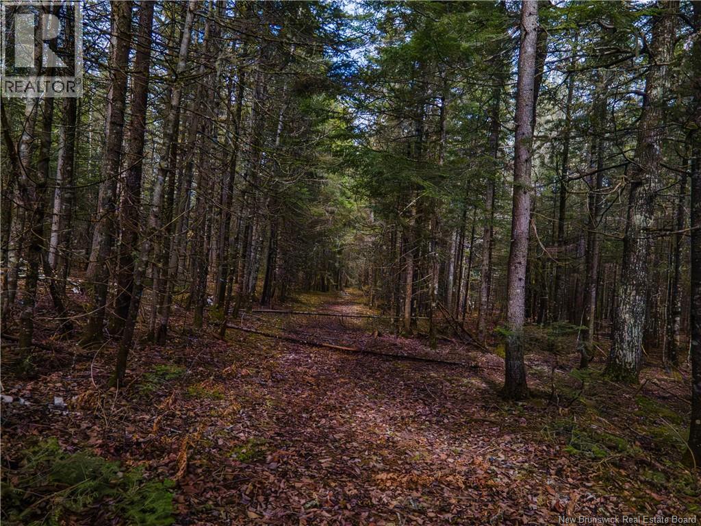 Lot 25-3 Buckley Settlement Road, Anagance, New Brunswick  E4Z 1B9 - Photo 12 - NB137581