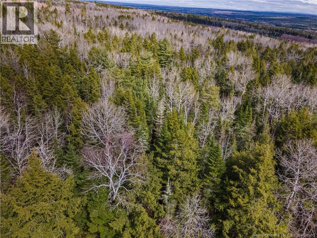 Lot 25-3 Buckley Settlement Road, Anagance, New Brunswick  E4Z 1B9 - Photo 2 - NB137581