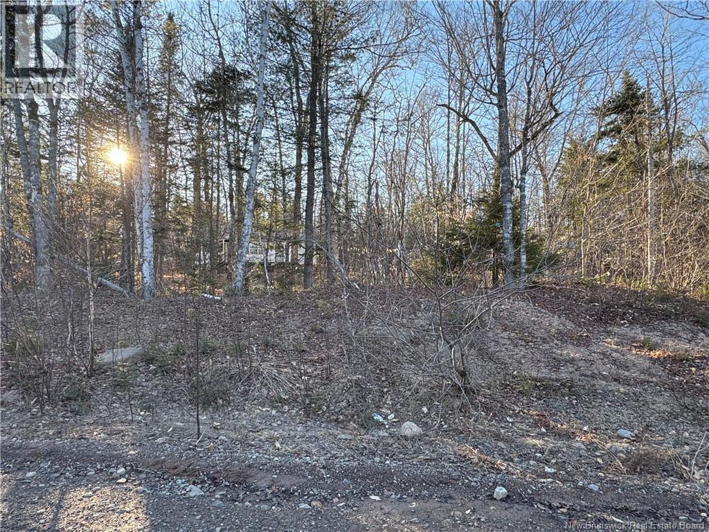 Camp Lake Road, South Oromocto Lake, New Brunswick  E5L 2R2 - Photo 37 - NB137662