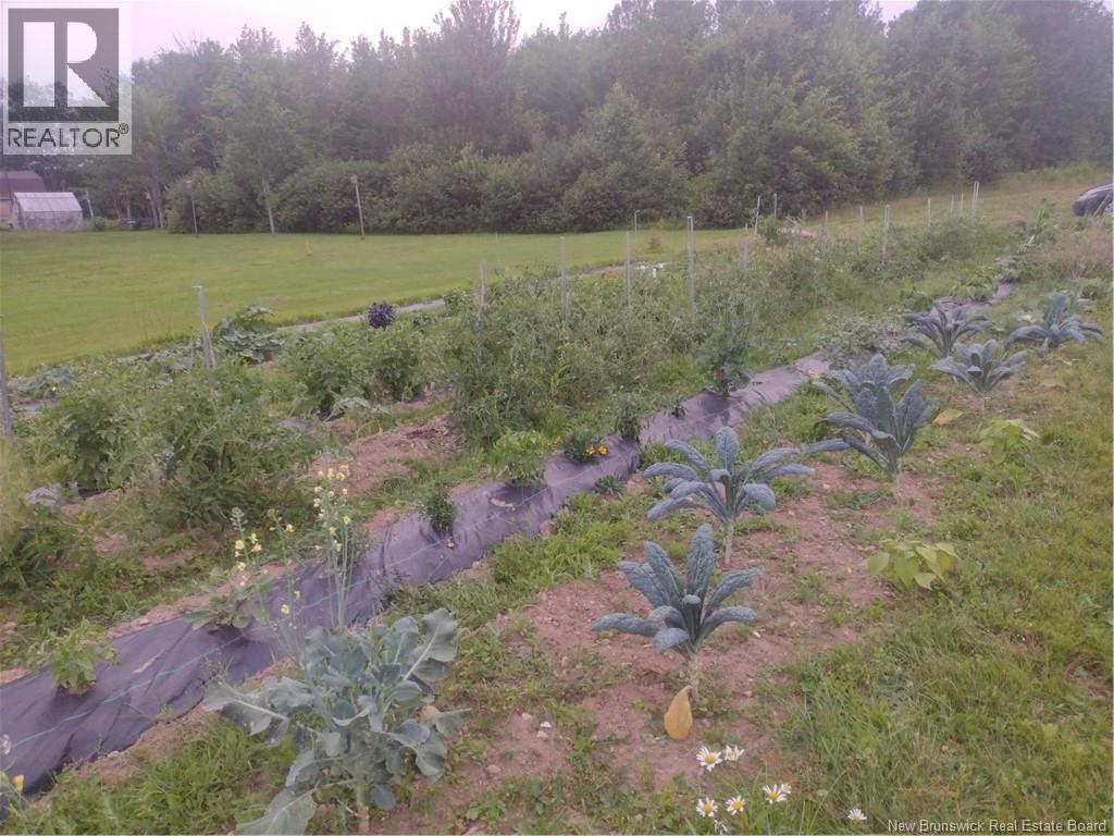 1871 Route 160, Saint-Sauveur, New Brunswick  E8L 1N5 - Photo 40 - NB137682