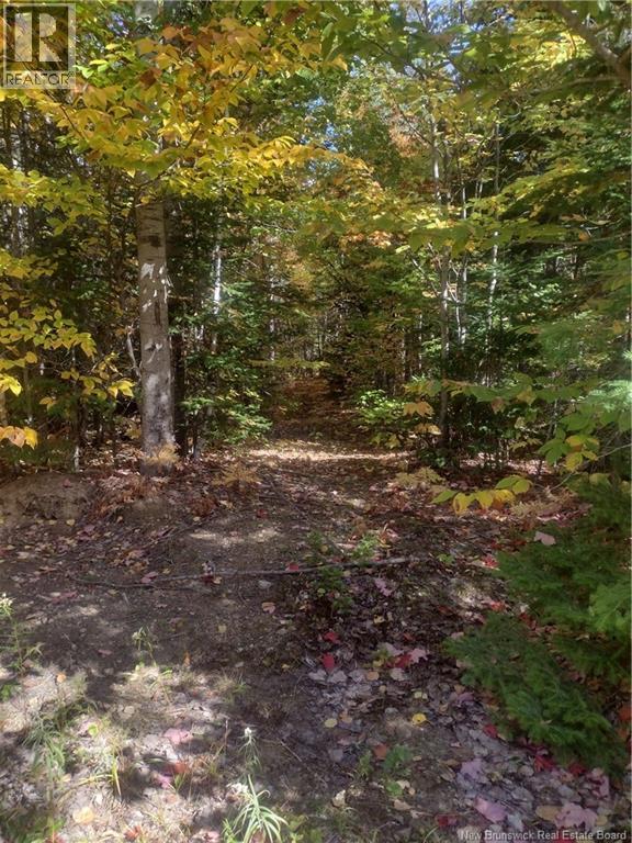 1871 Route 160, Saint-Sauveur, New Brunswick  E8L 1N5 - Photo 42 - NB137682