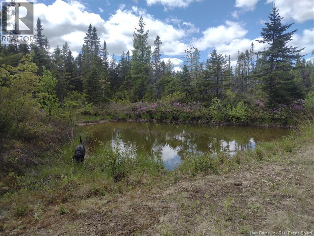 1871 Route 160, Saint-Sauveur, New Brunswick  E8L 1N5 - Photo 43 - NB137682