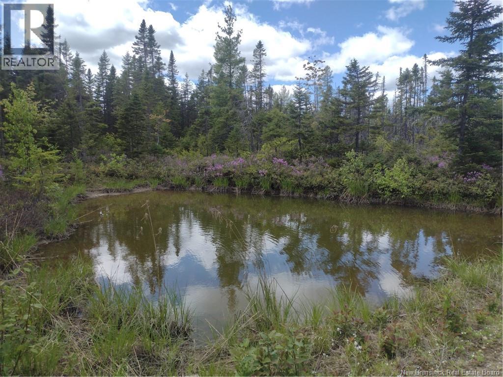 1871 Route 160, Saint-Sauveur, New Brunswick  E8L 1N5 - Photo 45 - NB137682