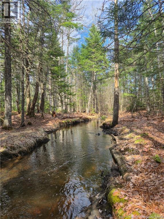 Lot 25-1 Niagara Road, Pine Glen, New Brunswick  E1J 1S4 - Photo 7 - NB137355