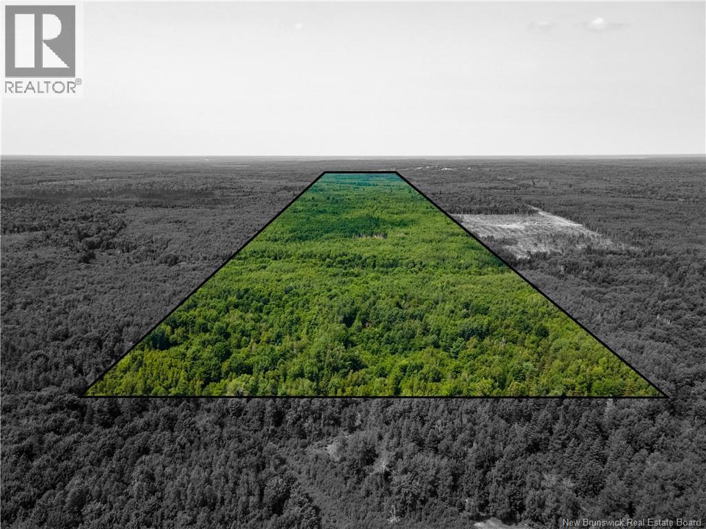 Lot 58 Alexandrina Road, Notre-Dame, New Brunswick  E4H 2H5 - Photo 1 - NB137656