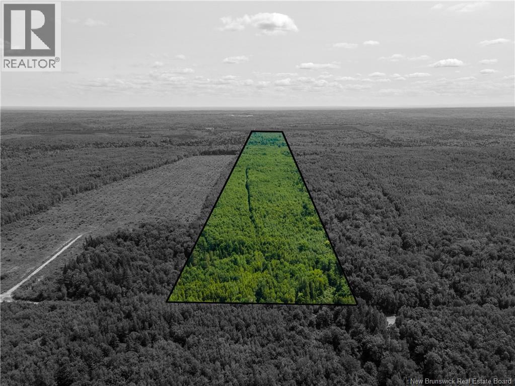 Lot 57 Alexandrina Road, Notre-Dame, New Brunswick  E4H 2H5 - Photo 1 - NB137655