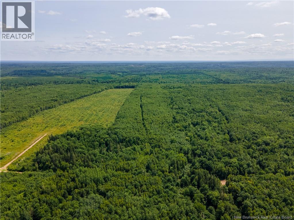 Lot 57 Alexandrina Road, Notre-Dame, New Brunswick  E4H 2H5 - Photo 3 - NB137655