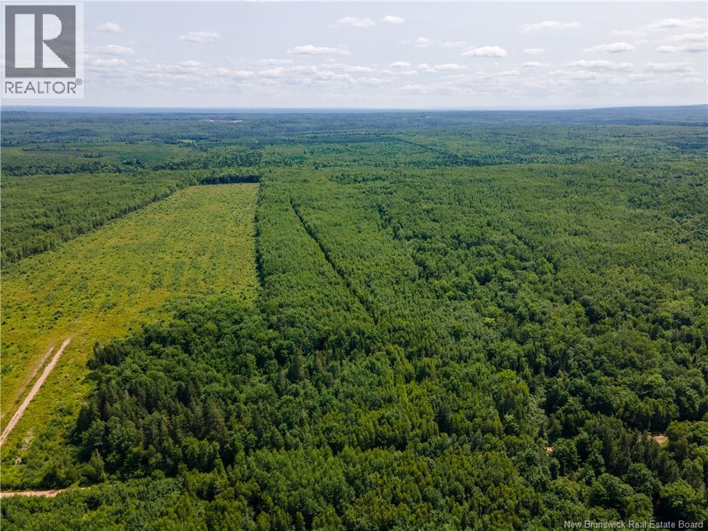Lot 57 Alexandrina Road, Notre-Dame, New Brunswick  E4H 2H5 - Photo 4 - NB137655