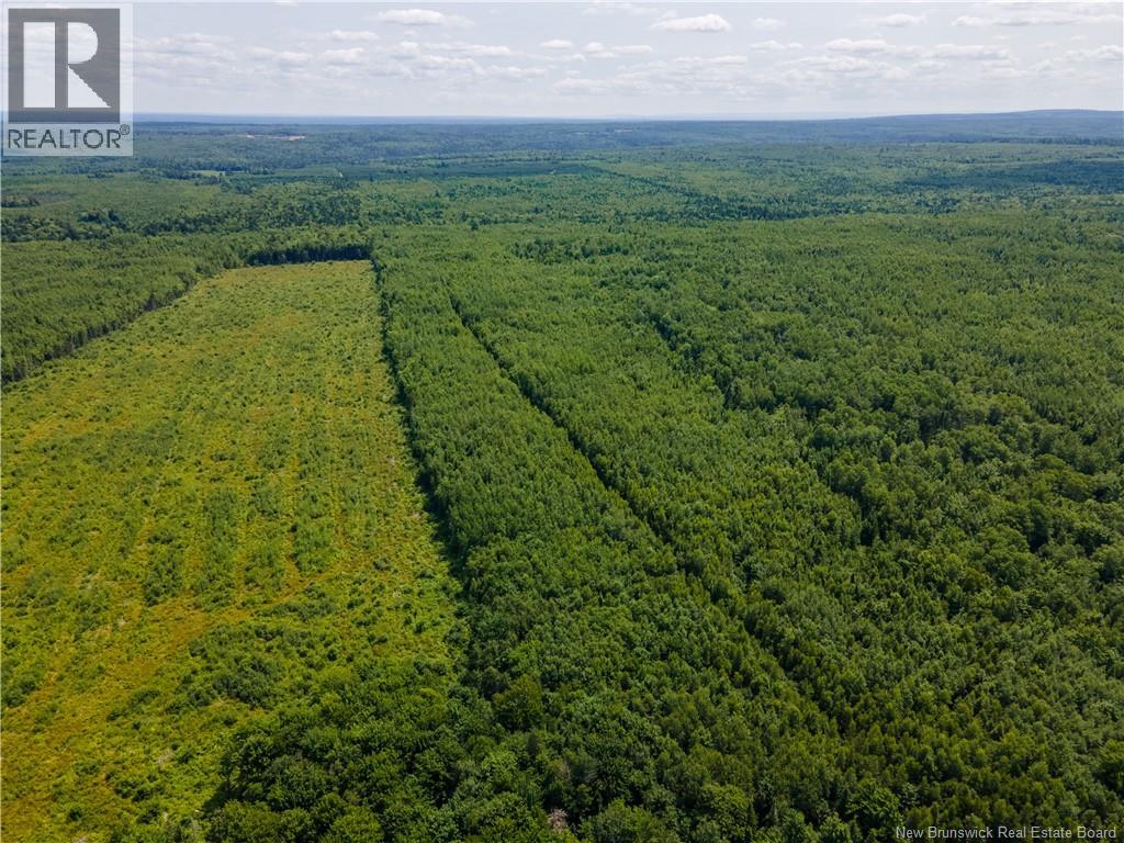 Lot 57 Alexandrina Road, Notre-Dame, New Brunswick  E4H 2H5 - Photo 5 - NB137655