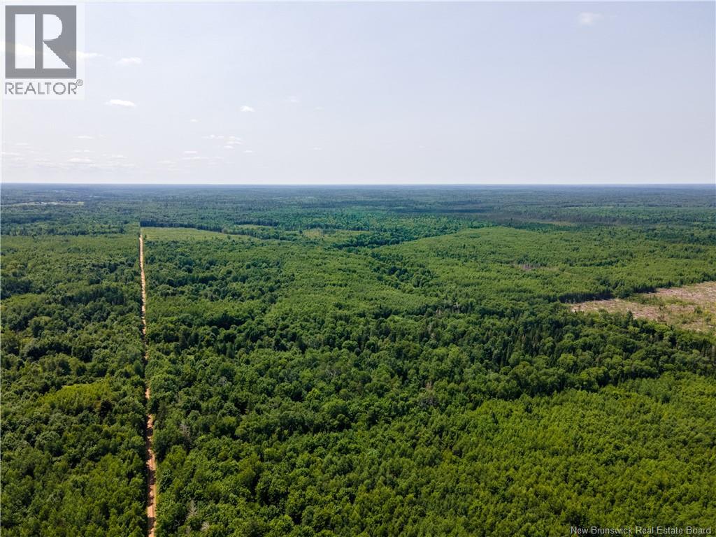 Lot 57 Alexandrina Road, Notre-Dame, New Brunswick  E4H 2H5 - Photo 6 - NB137655