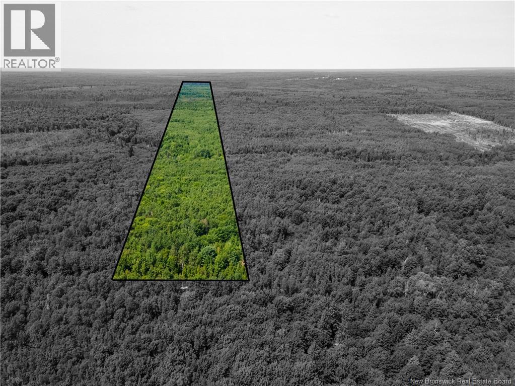 Lot 53 Alexandrina Road, Notre-Dame, New Brunswick  E4H 2H5 - Photo 1 - NB137652