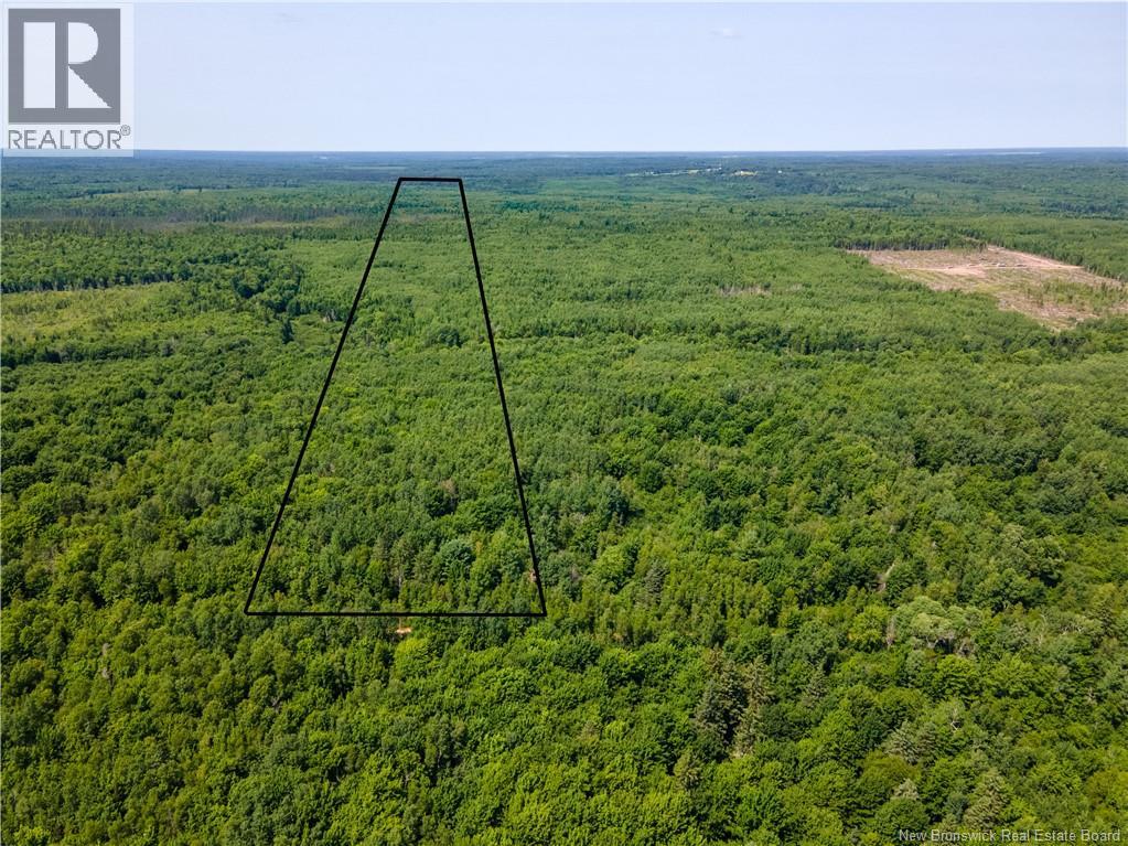 Lot 53 Alexandrina Road, Notre-Dame, New Brunswick  E4H 2H5 - Photo 2 - NB137652