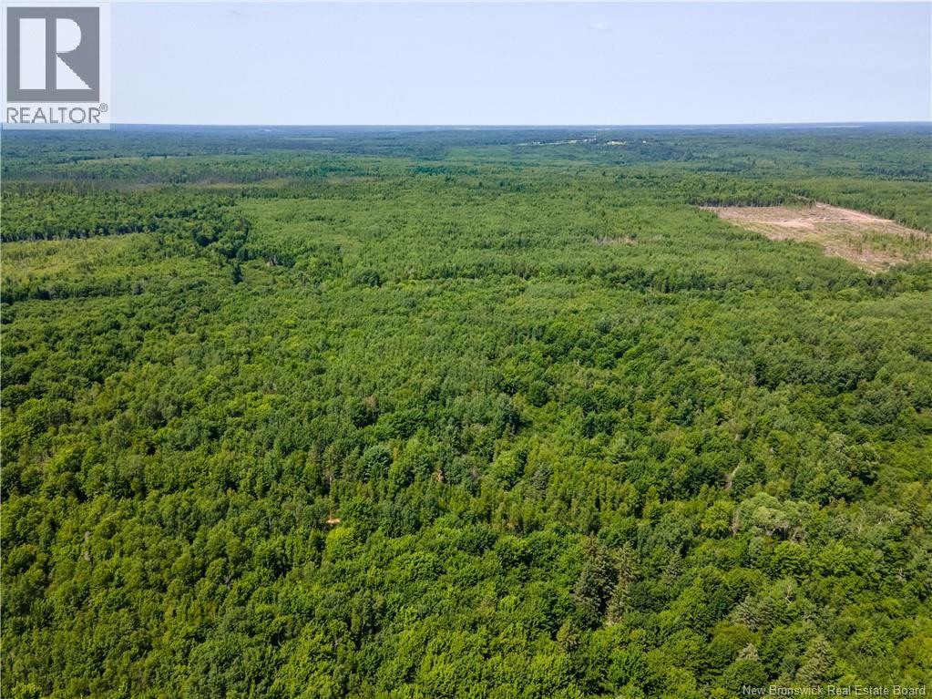 Lot 53 Alexandrina Road, Notre-Dame, New Brunswick  E4H 2H5 - Photo 3 - NB137652
