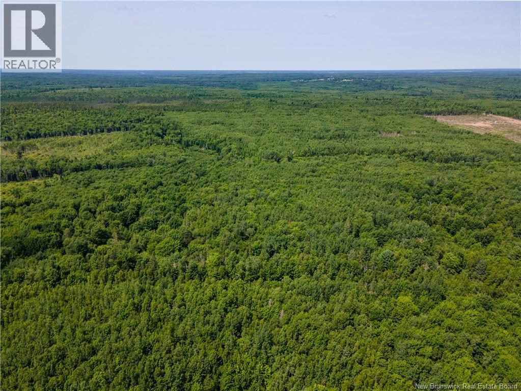 Lot 53 Alexandrina Road, Notre-Dame, New Brunswick  E4H 2H5 - Photo 4 - NB137652