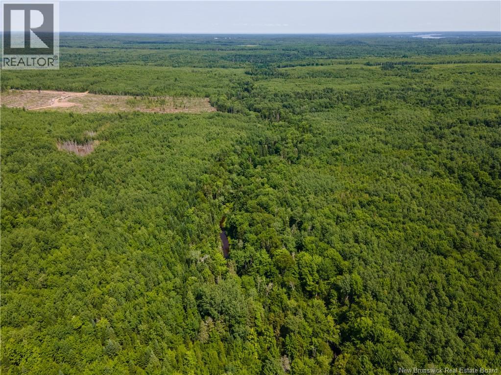 Lot 53 Alexandrina Road, Notre-Dame, New Brunswick  E4H 2H5 - Photo 5 - NB137652