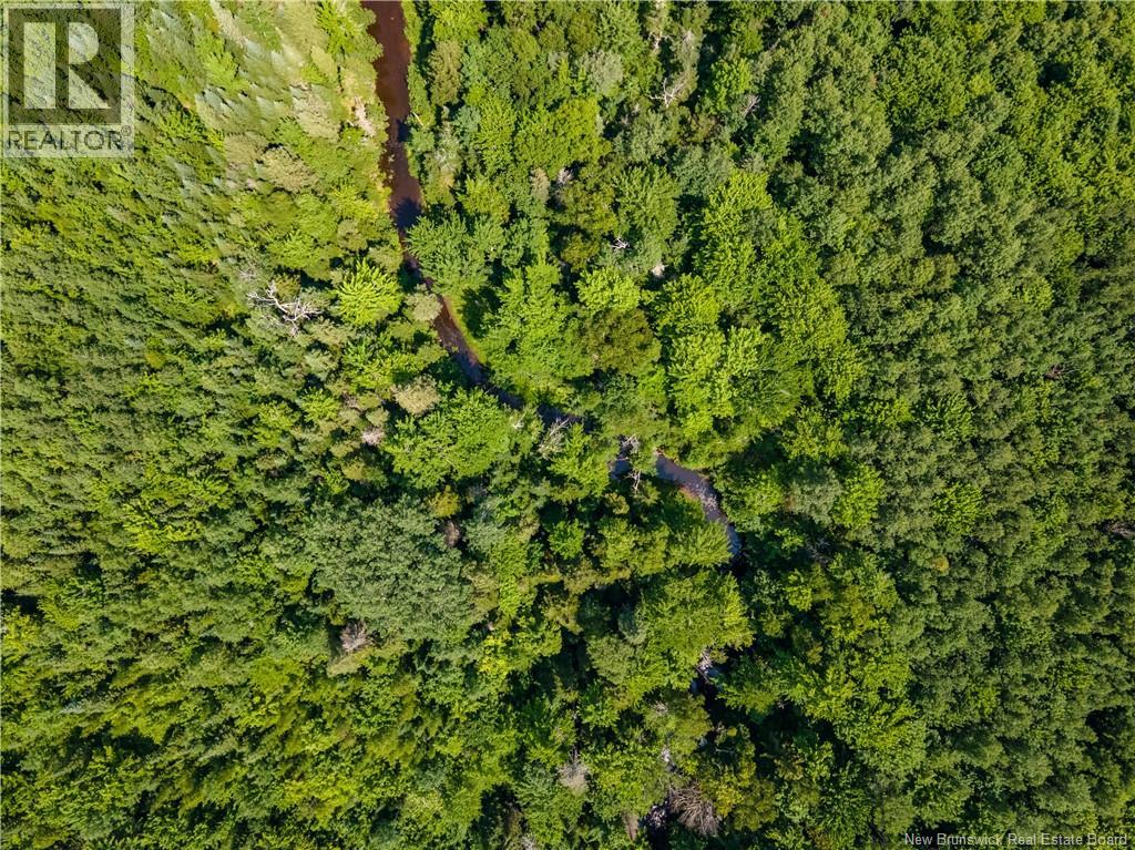 Lot 53 Alexandrina Road, Notre-Dame, New Brunswick  E4H 2H5 - Photo 6 - NB137652