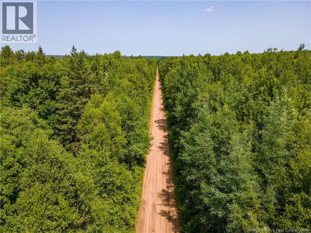 Lot 53 Alexandrina Road, Notre-Dame, New Brunswick  E4H 2H5 - Photo 7 - NB137652